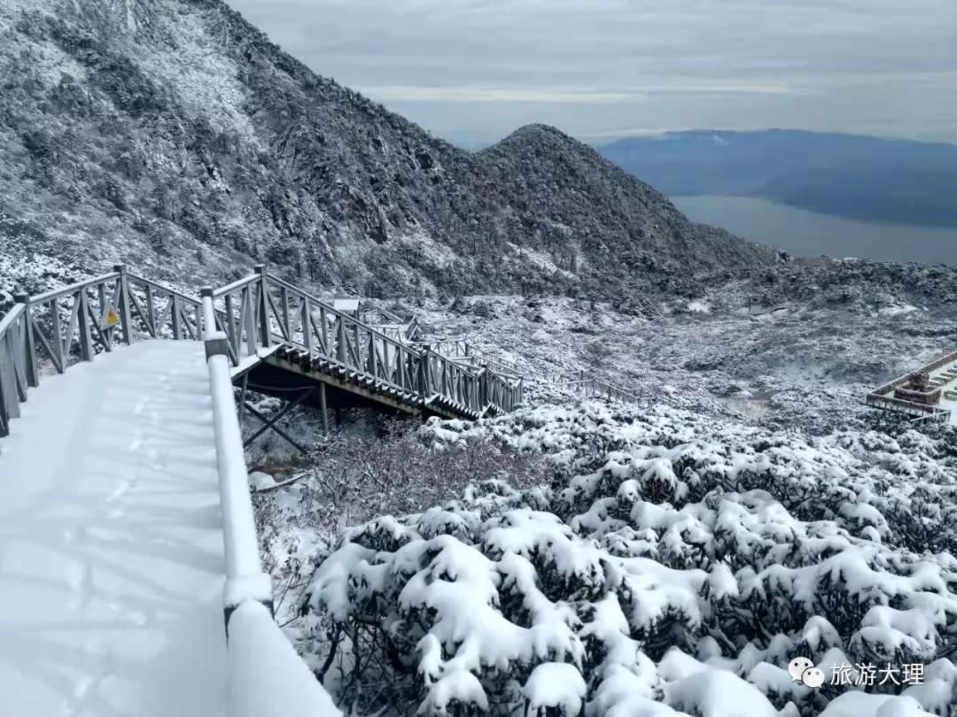 大理!丽江!迪庆!会泽!快来看看雪景吧