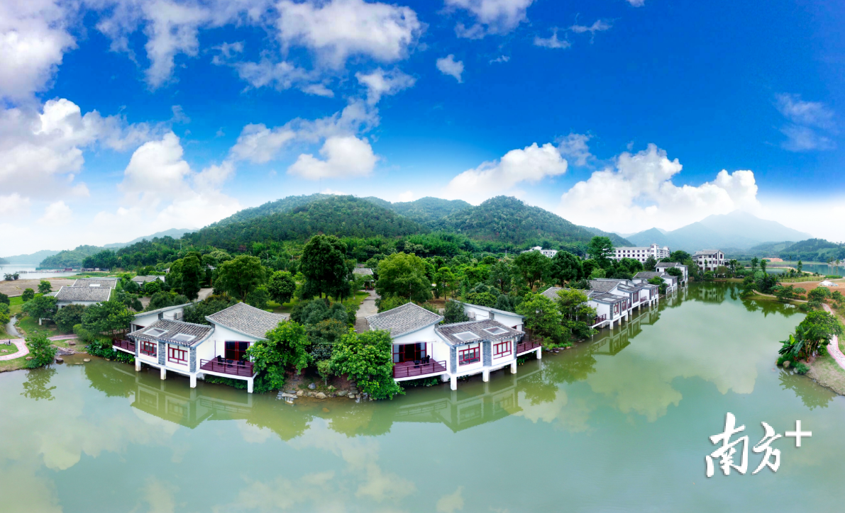 日前,记者沿着万绿湖环湖公路一路飞驰,探访河源市东源县新回龙镇东星