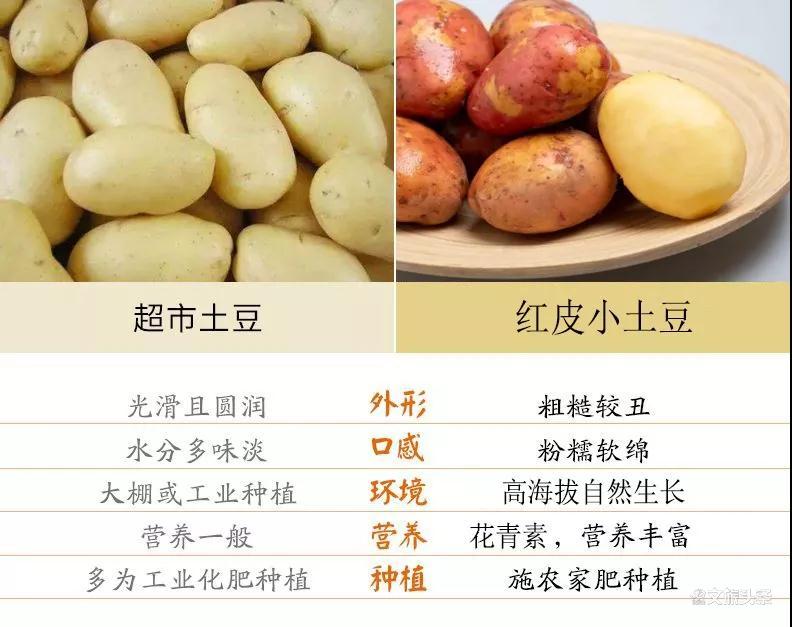 州,地处滇中高原,海拔两千多米,没有雾霾,是一块污染少,喧嚣少的沃土