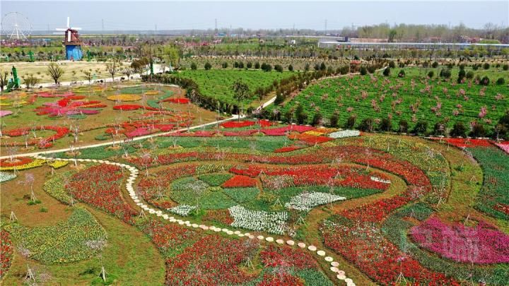 3月28日,许昌游客在鄢陵"五彩大地"观光休闲