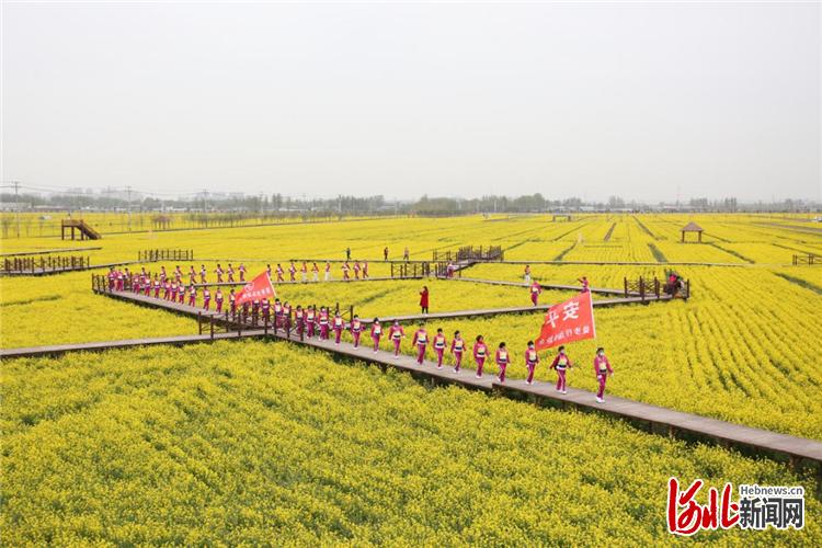 中国·安平第四届(网络)油菜花文化旅游节开幕_文旅