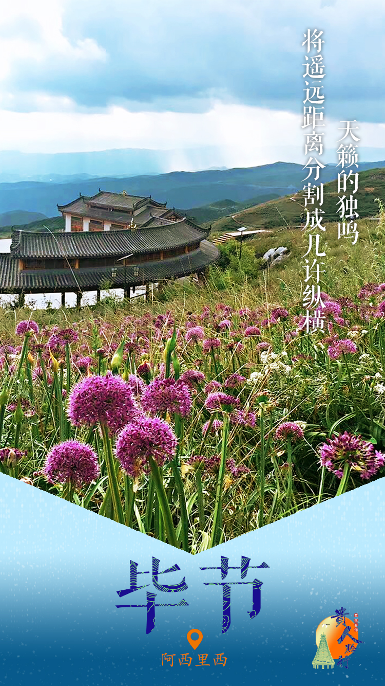 贵人黔行|阿西里西韭菜坪景区 四季皆美的"天上花海"