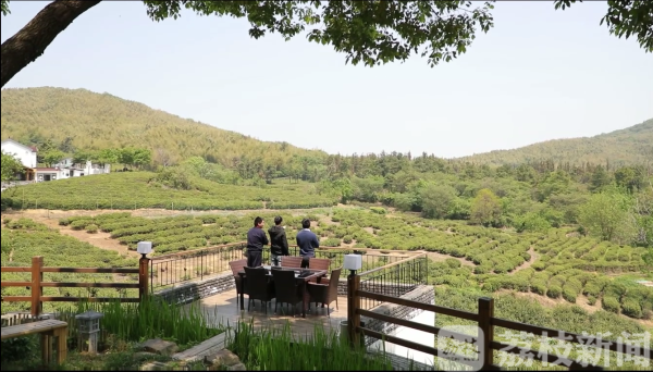 江宁黄龙岘:留住年轻人 美丽乡村"活起来"|品读乡村之