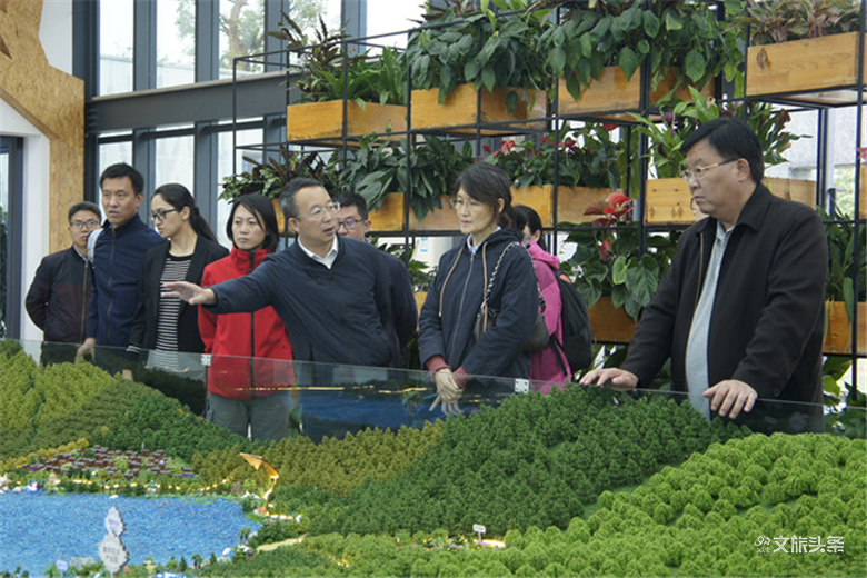 云南省文化和旅游厅厅长曾艳到红河州调研