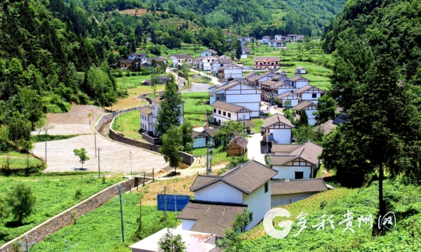 大方县雨冲乡鸣凤村.刘永彬 摄