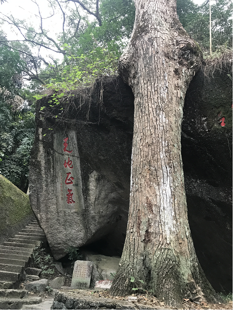 广西桂平西山邀请粤港澳大湾区居民前来打call