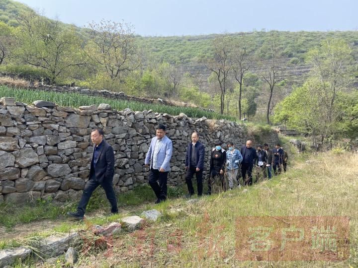 石窑群落变身乡村旅居度假目的地——巩义市涉村镇吴沟村山水隐庐项目