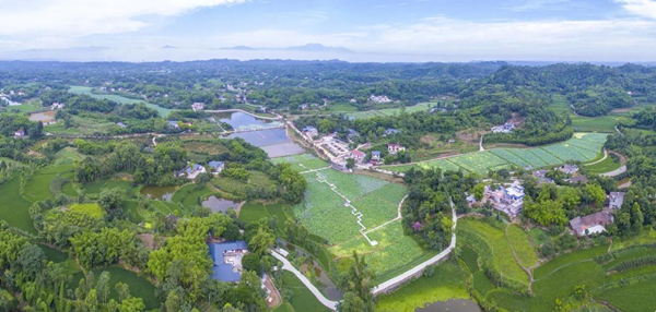 乐山五通桥区牛华镇:香飘燕山 诗居田园