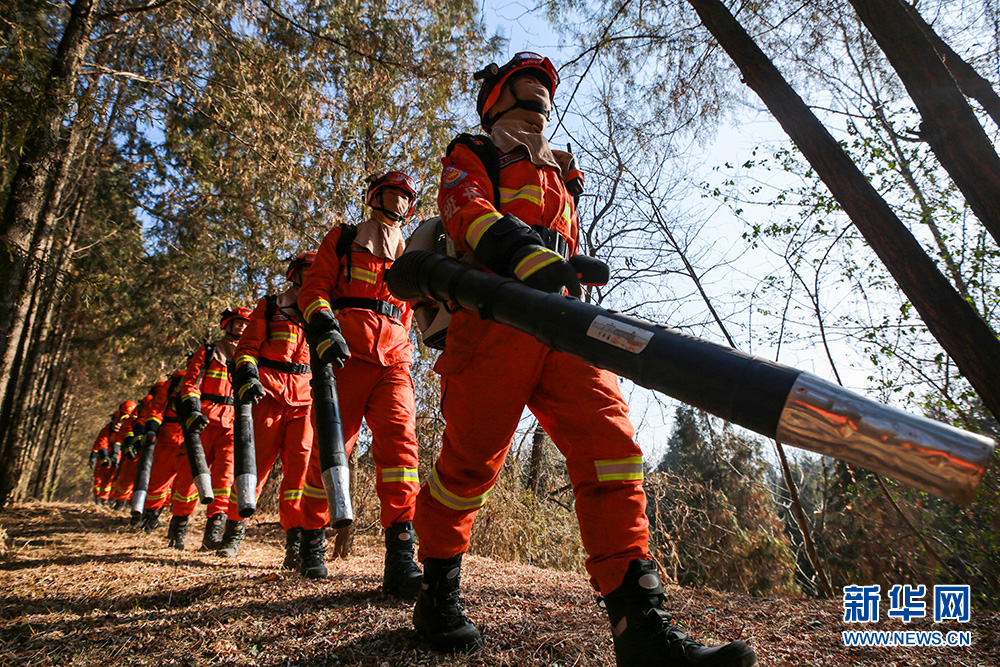 陕西黄陵:森林消防员进驻黄帝陵护古柏群周全