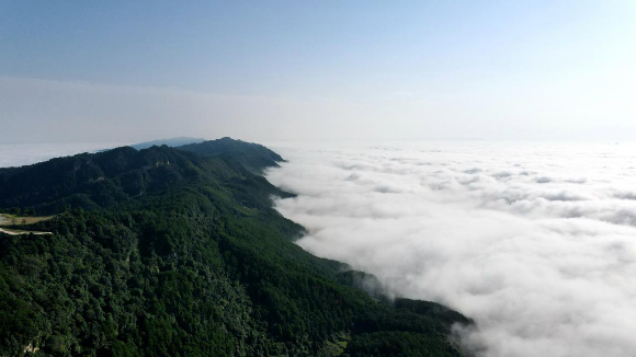 住树屋,观云海,挑战崖壁秋千…… 五华山网红耍事多