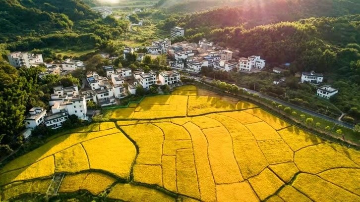 第三届"广东十大美丽乡村"系列活动启动