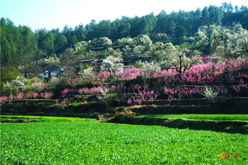 点赞!南华县龙川镇岔河村拟入选第二批全国乡村旅游重点村